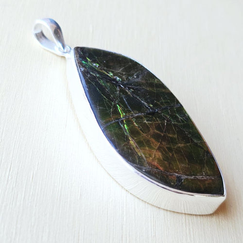 Ammolite Pendant | The Ancient Spectrum