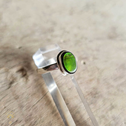 Ammolite Ring | Emerald Energy