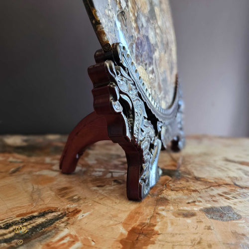 Ammonite Fossil Plate With Carved Stand