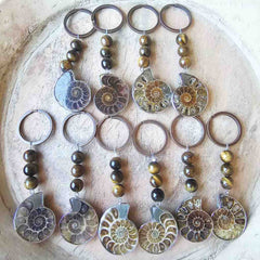Ammonite Keyring Twin Set | Two Halves, One Story