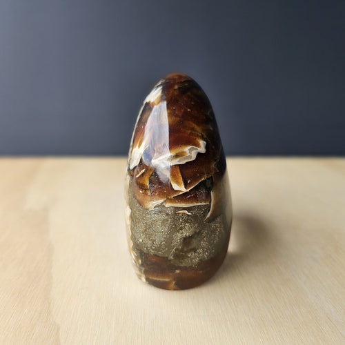 Ammonite Nautilus Opalised Fossil | Sacred Spiral