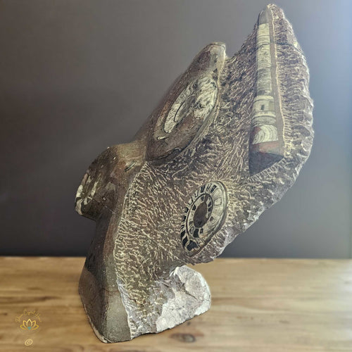 Ammonite On Limestone Sculpture | Ancient Seas 22.6kgs