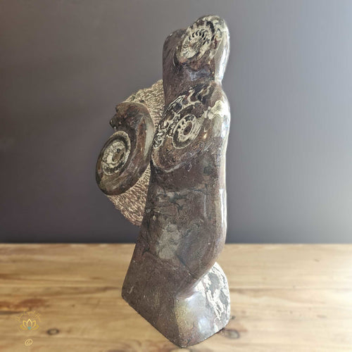 Ammonite On Limestone Sculpture | Eternal Dance 21kgs