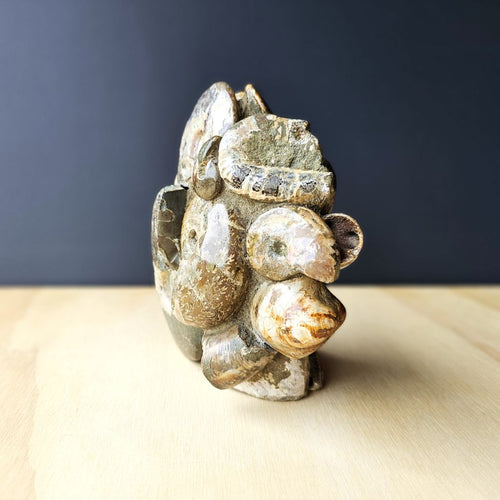 Ammonite, Nautilus & Clam Fossil Cluster| Timeless Synthesis Sculpture