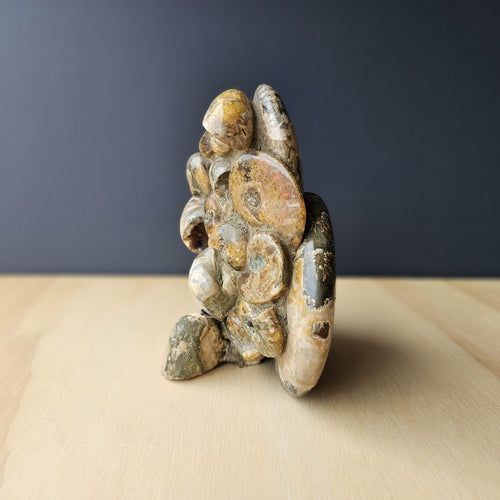 Ammonite, Nautilus & Clam Fossil Cluster| Timeless Synthesis Sculpture