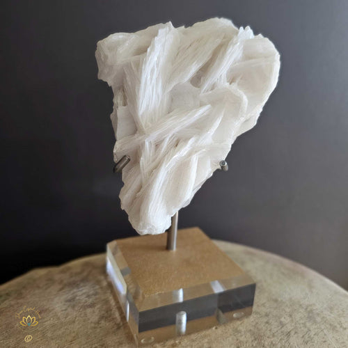 Angel Wing Calcite | Specimen 1kg