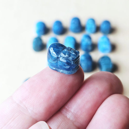 Apatite | Mini Pixiu Traveller