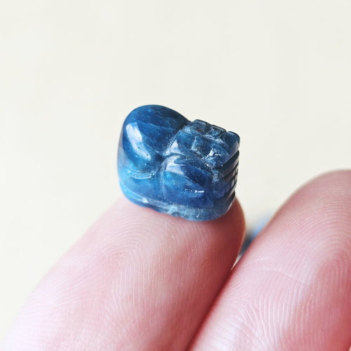 Apatite | Mini Pixiu Traveller