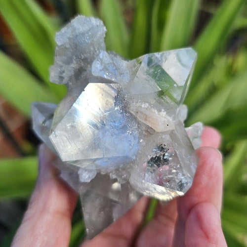 Apophyllite Specimen | The Lucky Elephant