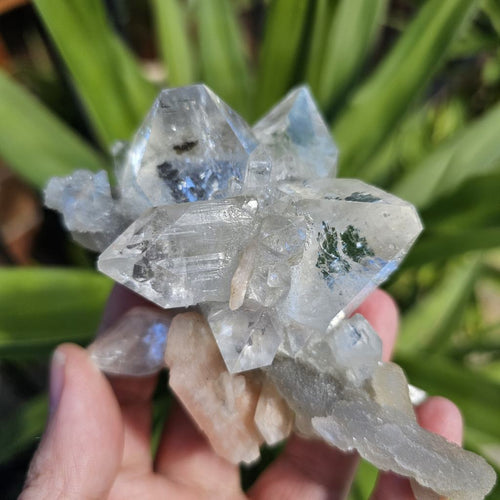 Apophyllite Specimen | The Lucky Elephant