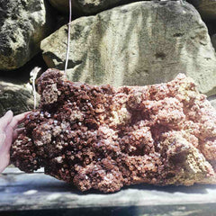 Aragonite Sputnik Extra Large Specimen | The Radiant Core