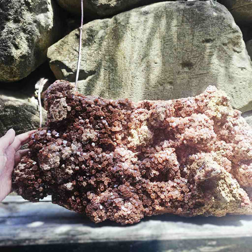 Aragonite Sputnik Extra Large Specimen | The Radiant Core