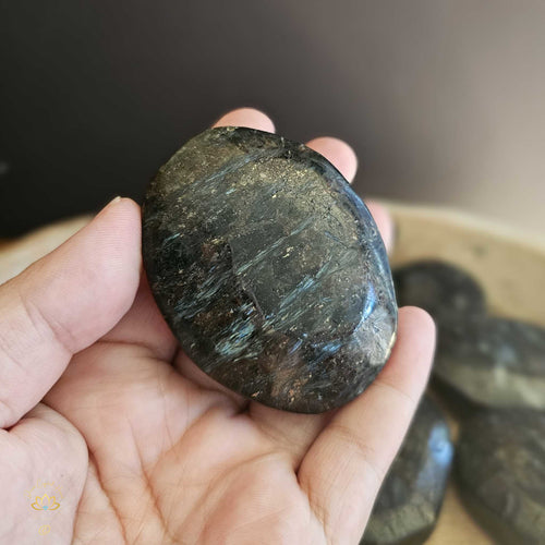 Arfvedsonite with Garnet Palm Stones