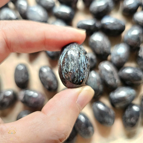 Arfvedsonite with Garnet Tumbled Stones