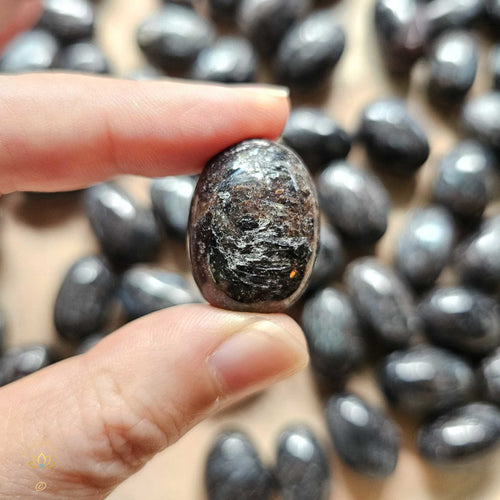 Arfvedsonite with Garnet Tumbled Stones