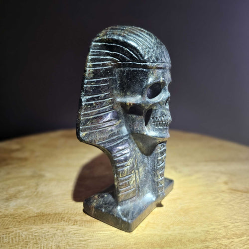 Astrophyllite Pharaoh Skull | Golden Guardian Ra