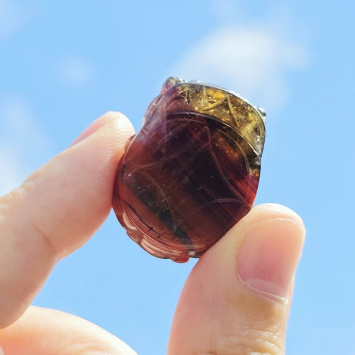 Auralite 23 Pixiu | 23 Intentions
