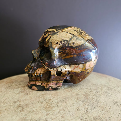 Outback Jasper Skull | Transformation Guide