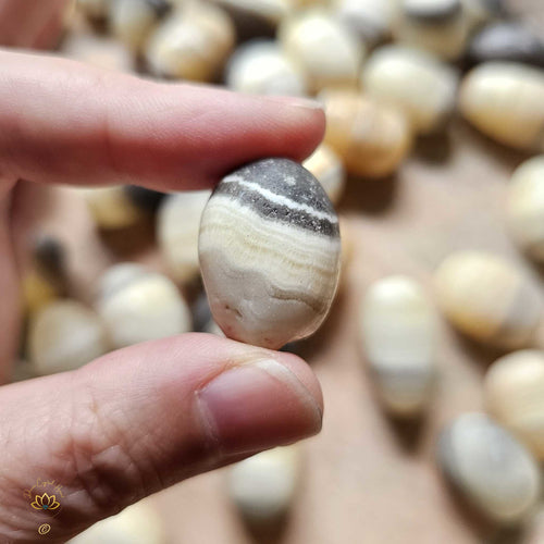 Banded Zebra Calcite Tumbled Stones