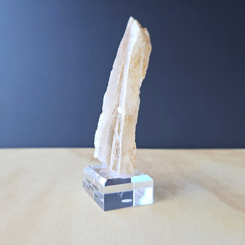 Bi-Colour Selenite Specimen | The Alter Architect