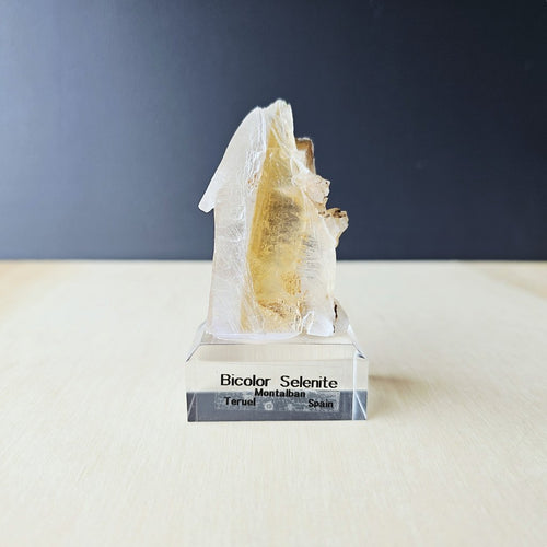 Bi-Colour Selenite Specimen | The Alter Architect 81gms