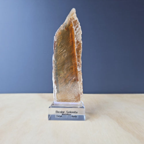 Bi-Colour Selenite Specimen | The Spanish Equinox