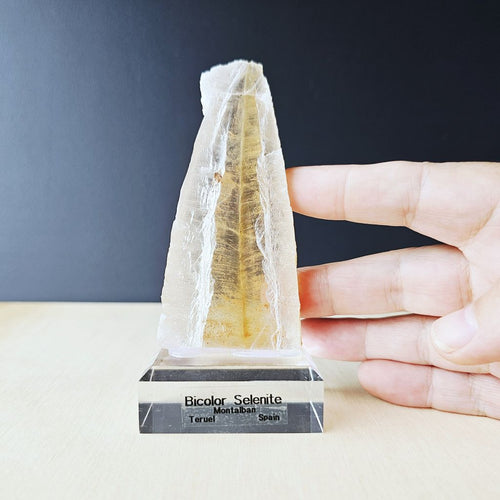 Bi-Colour Selenite Specimen | The Spanish Equinox 136gms