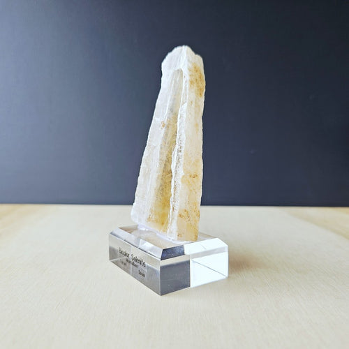Bi-Colour Selenite Specimen | The Spanish Equinox 136gms