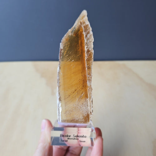 Bi-Colour Selenite Specimen | The Spanish Equinox