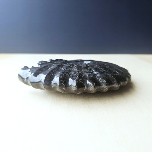 Black Ammonite Fossil | Ancient Spiral
