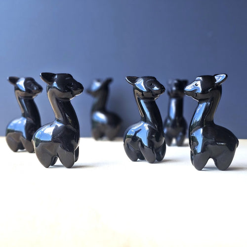 Black Obsidian Alpaca | Stormy Fleece