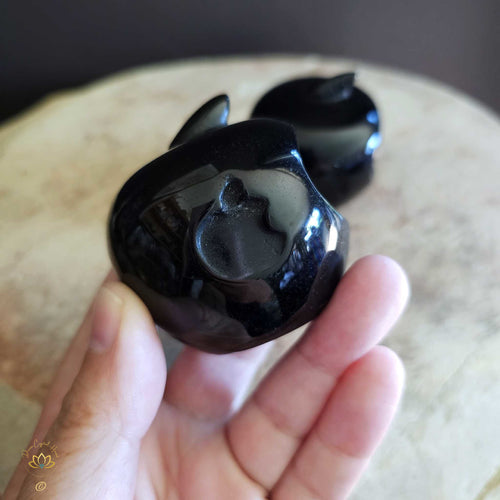 Black Obsidian Apple Icon