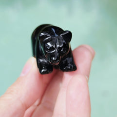 Black Obsidian Bear | Spirit Of The Bear