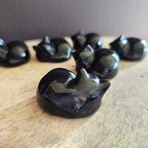 Black Obsidian Cats