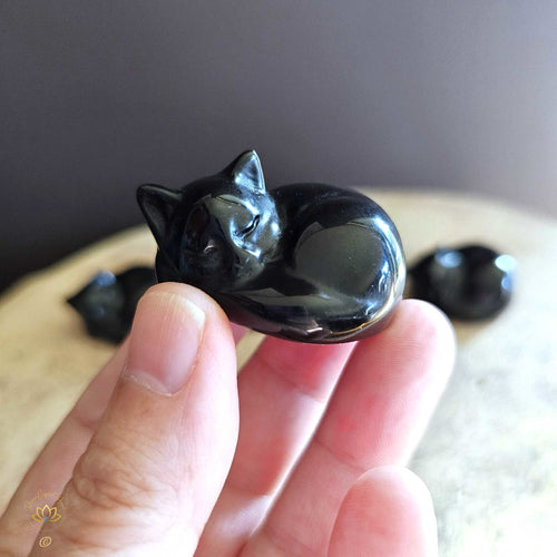 Black Obsidian Cats