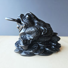 Black Obsidian Money Toad | The Wealth Keeper