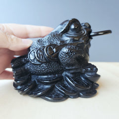 Black Obsidian Money Toad | The Wealth Keeper