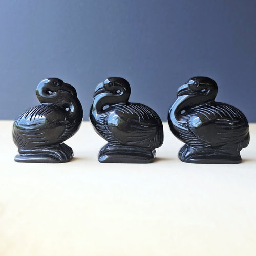 Black Obsidian Pelicans | Midnight Mariner