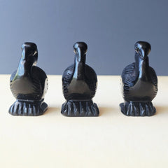Black Obsidian Pelicans | Midnight Mariner