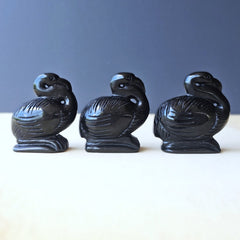 Black Obsidian Pelicans | Midnight Mariner
