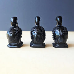 Black Obsidian Pelicans | Midnight Mariner