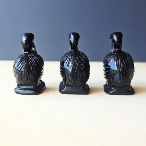 Black Obsidian Pelicans | Midnight Mariner