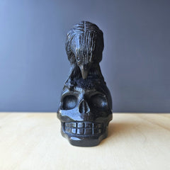 Black Obsidian Raven Skull | The Raven Custodian