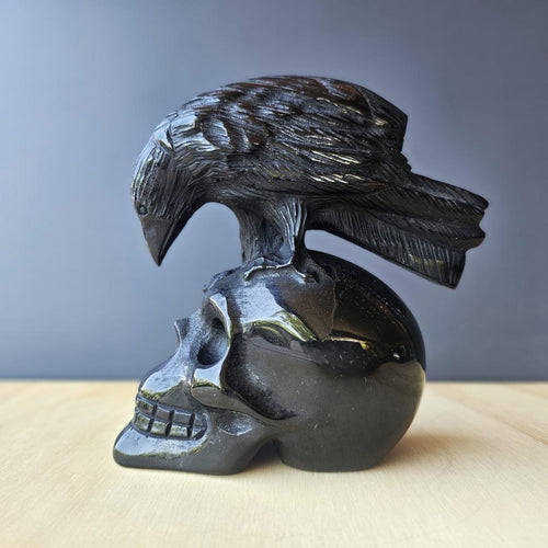 Black Obsidian Raven Skull | The Raven Custodian