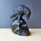 Black Obsidian Raven Skull | The Raven Custodian