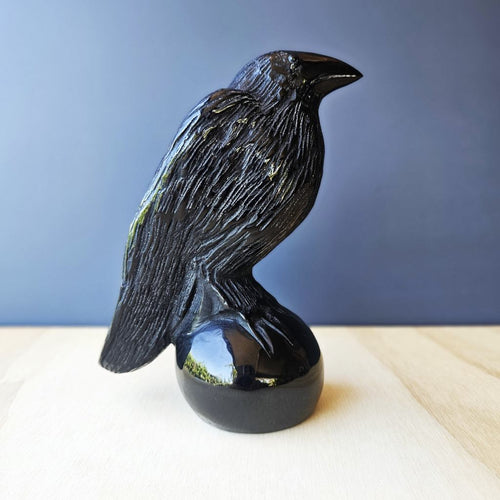 Black Obsidian Ravens | The Black Oracle