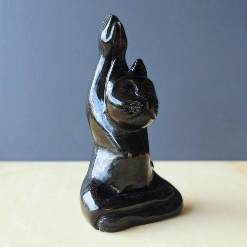 Black Obsidian Yoga Cat | Zen Kitty