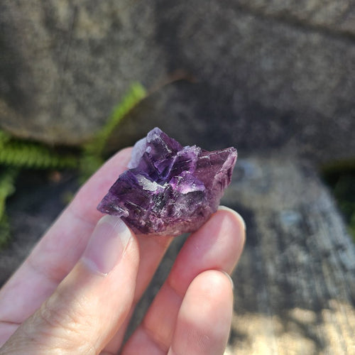 Black Warrior Purple Fluorite | 31gm