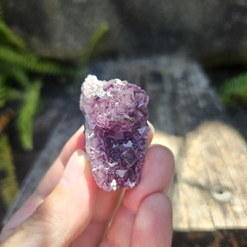 Black Warrior Purple Fluorite | 31gms