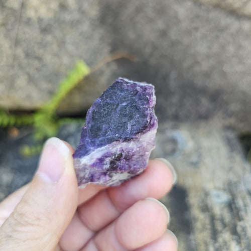 Black Warrior Purple Fluorite | 31gms